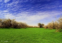 روضة خريم - صورة 2