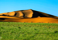 ظل الرمال - صورة 2