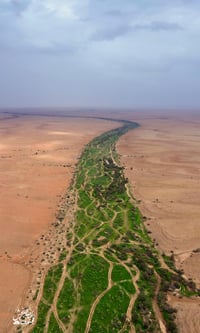 صوره جويه لوادي الشوكي - صورة 2