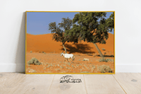 المها الوضيحي وابنها - صورة 3