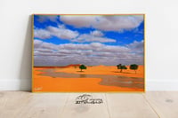 الاعصل مع الحيره - صورة 3