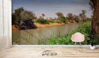 شعيب الشوكي (السعر حسب اختيارك للمتر ) - صورة 1