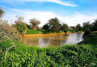 غدير الشوكي - صورة 2