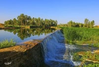 مدرج المجمعه (السعر حسب اختيارك للمتر) - صورة 2