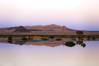 روضة سجوان - صورة 2
