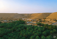 الغاط التراثية - صورة 2