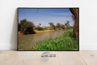 شعيب الشوكي - صورة 1