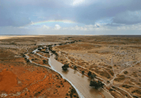 شعيب الارطاوي محمية الملك عبدالعزيز - صورة 2