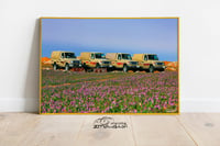 خزامى ابواب - صورة 3