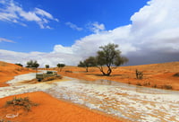 شعيب الاعصل - صورة 2