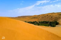 واحة المذنب - صورة 2