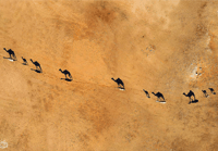 ظل الجمال - صورة 2