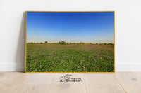 التنهات - صورة 3