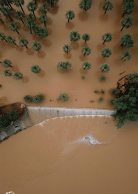 حسنانه بالمجمعه جوية - صورة 2