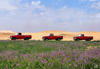 الصمان والجمس - صورة 2