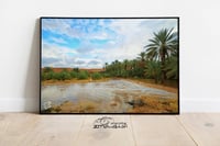 مزارع الوسيعة - صورة 1