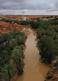 وادي تمير - صورة 2