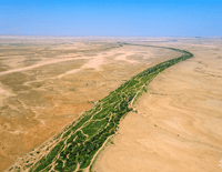 الشوكي - صورة 2