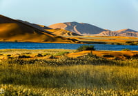 ام الحيش الربع الخالي  - صورة 2