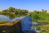 المشقر بالمجمعه (السعر حسب اختيارك للمتر ) - صورة 2