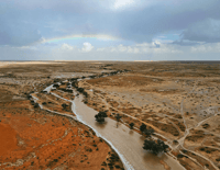 شعيب الارطاوي شمال تمير - صورة 2