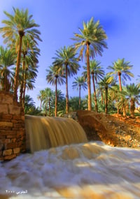 حكار مزرعه - صورة 2