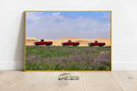 الصمان والجمس - صورة 3