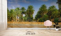 حسنانه بالمجمعه (السعر حسب اختيارك للمتر ) - صورة 1