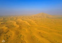 عروق الدهنا  (السعر حسب اختيارك للمتر) - صورة 2