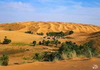 واحة المذنب  (السعر حسب المقاس) - صورة 2