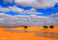 وادي العصل (السعر حسب اختيارك للمتر) - صورة 2