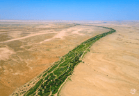 جوية لوادي الشوكي - صورة 2