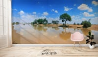 شعيب الشوكي (السعر حسب اختيارك للمتر ) - صورة 1