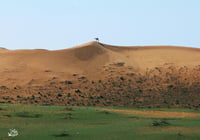 نفود الثويرات  (السعر حسب اختيارك للمتر) - صورة 2