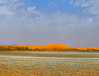 نفود تربة - صورة 2