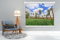 مزارع وشي بالمجمعة (السعر حسب اختيارك للمتر) - صورة 1