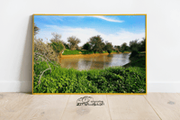 غدير الشوكي - صورة 3
