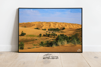 الم1نب واحات  - صورة 1