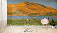 الامغر - صورة 1