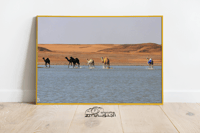 الابل والسيل بالصمان - صورة 3