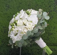 مسكة عروس - صورة 1