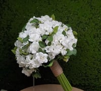 مسكة عروس - صورة 1