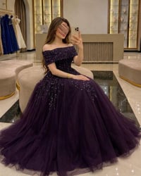 sa_95 - صورة 2