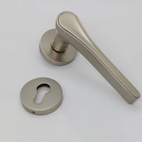 مسكات ابواب مفصول فضي DSM  - صورة 1