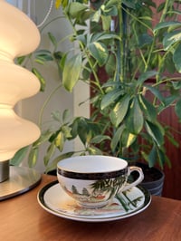 Very Fine Vintage Eggshell Porcelain 50s - Image 2