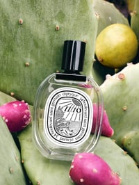 عطر إيليو أو دو تواليت 100 مل - صورة 2