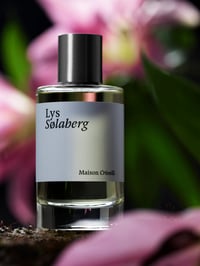 عطر ليس سولابيرج أو دو بارفان - صورة 2