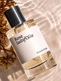 ماء عطر روز سالتيفوليا، 100 مل - صورة 2