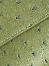 بوتيغا - صورة 18