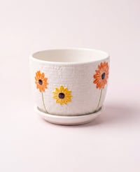 أصيص - وسط - صورة 1